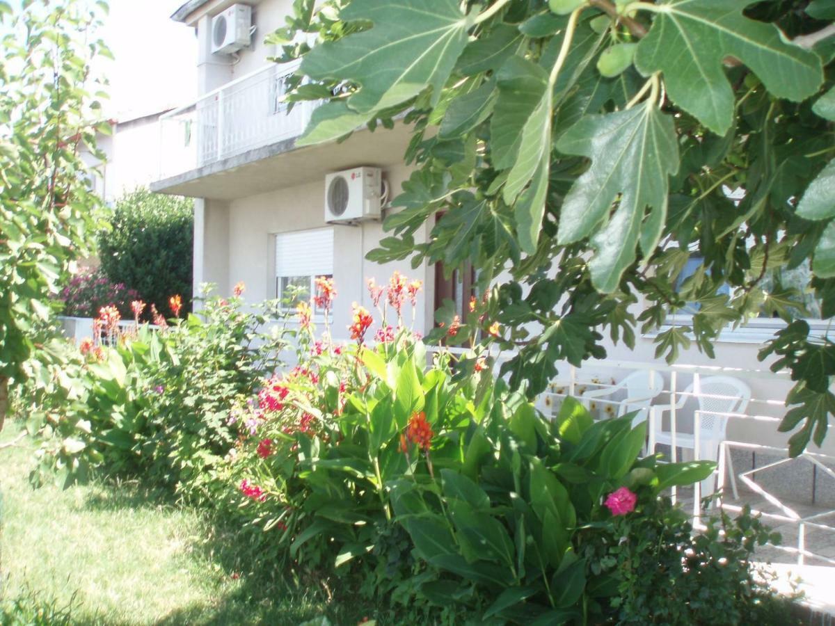 Apartment Antonija Senj  Ngoại thất bức ảnh